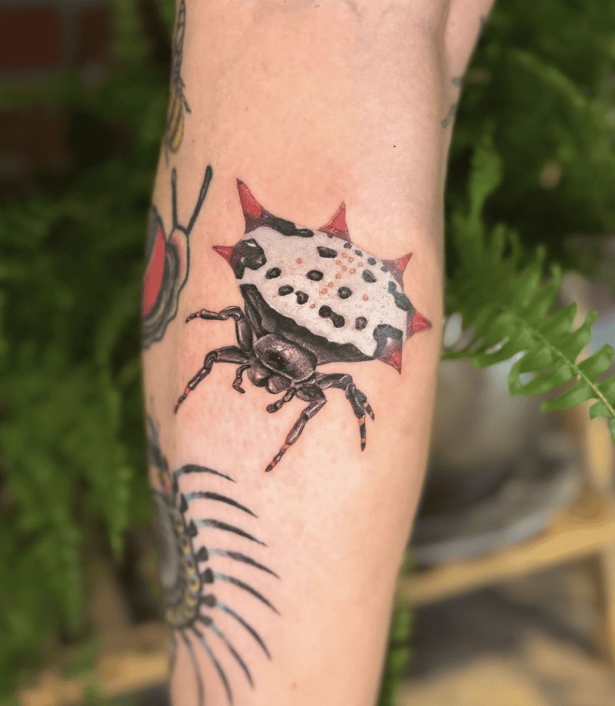 Spiny Orb-Weaver Spider Tattoo