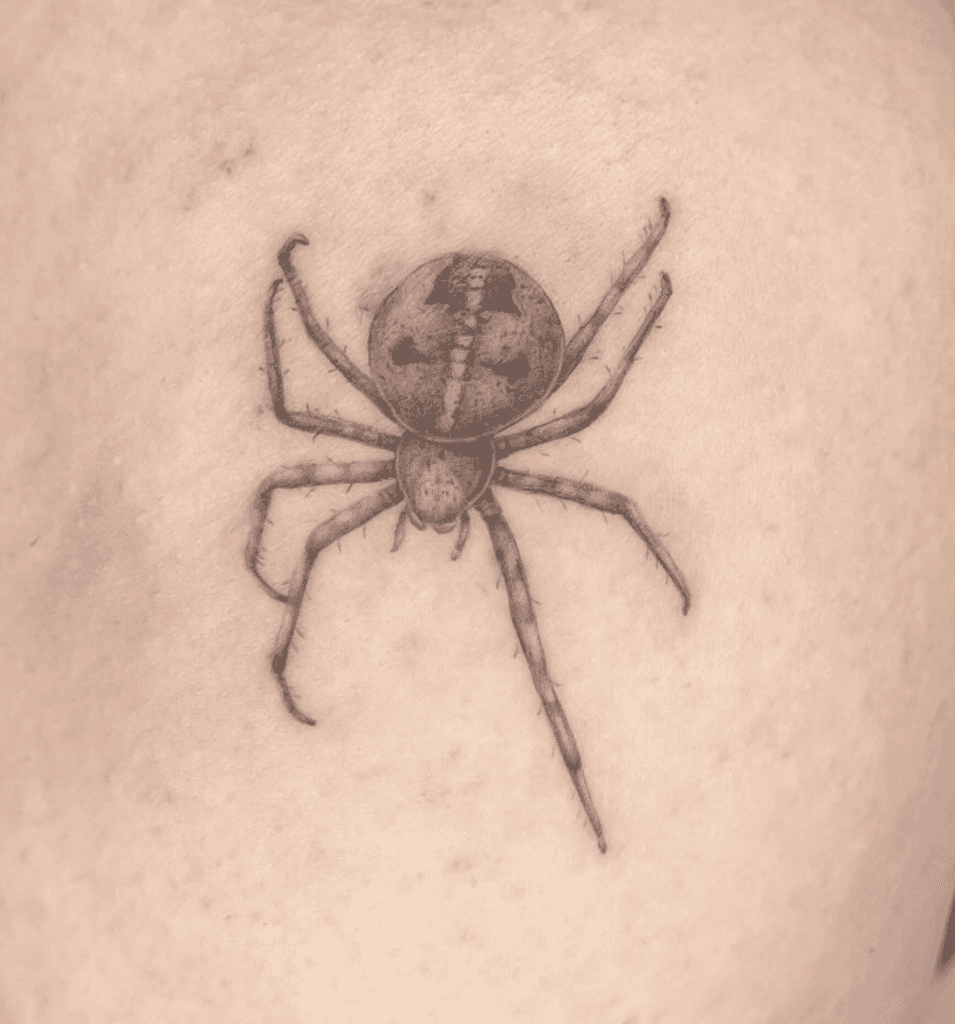 Cross Orb-Weaver Spider Tattoo