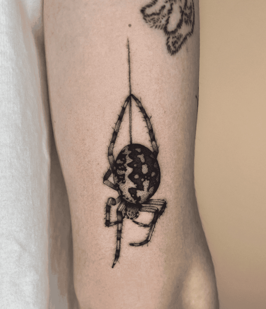 Marbled Orb-Weaver Spider Tattoo
