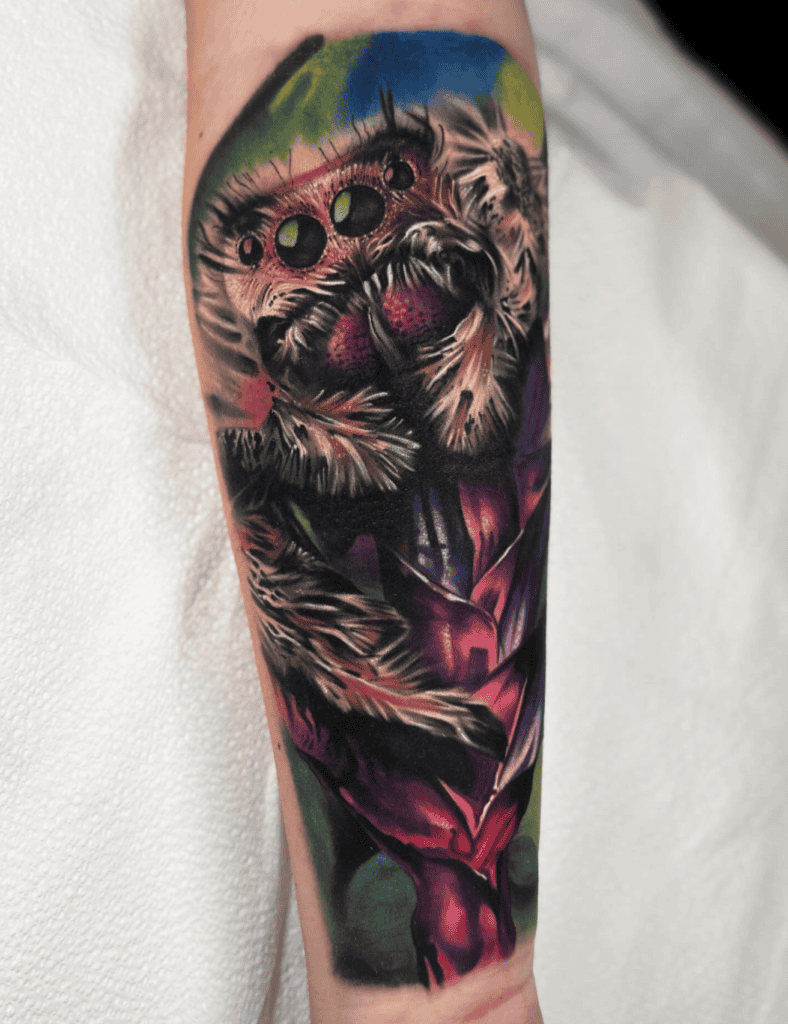 Jumping Spider Colour Tattoo