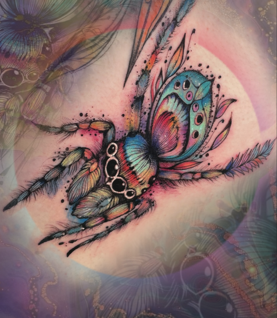 Peacock Spider Colour Tattoo