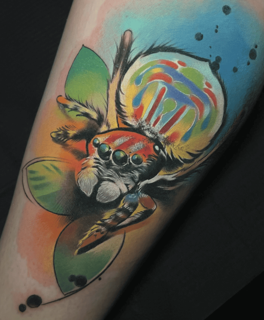 Peacock Spider Cute Tattoo