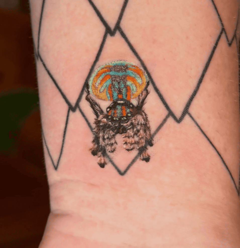 Peacock Spider Tattoo