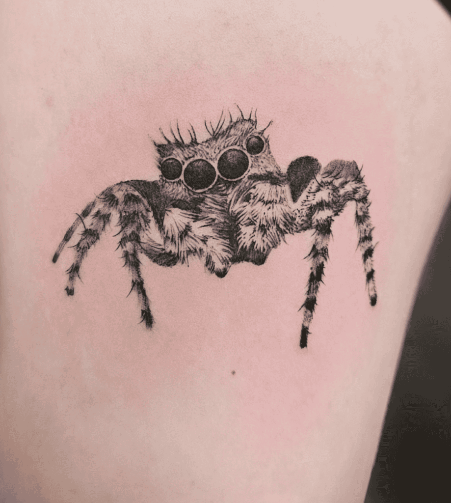 Zebra Jumping Spider Tattoo