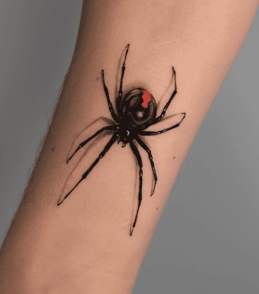 Redback Spider Shadow Tattoo
