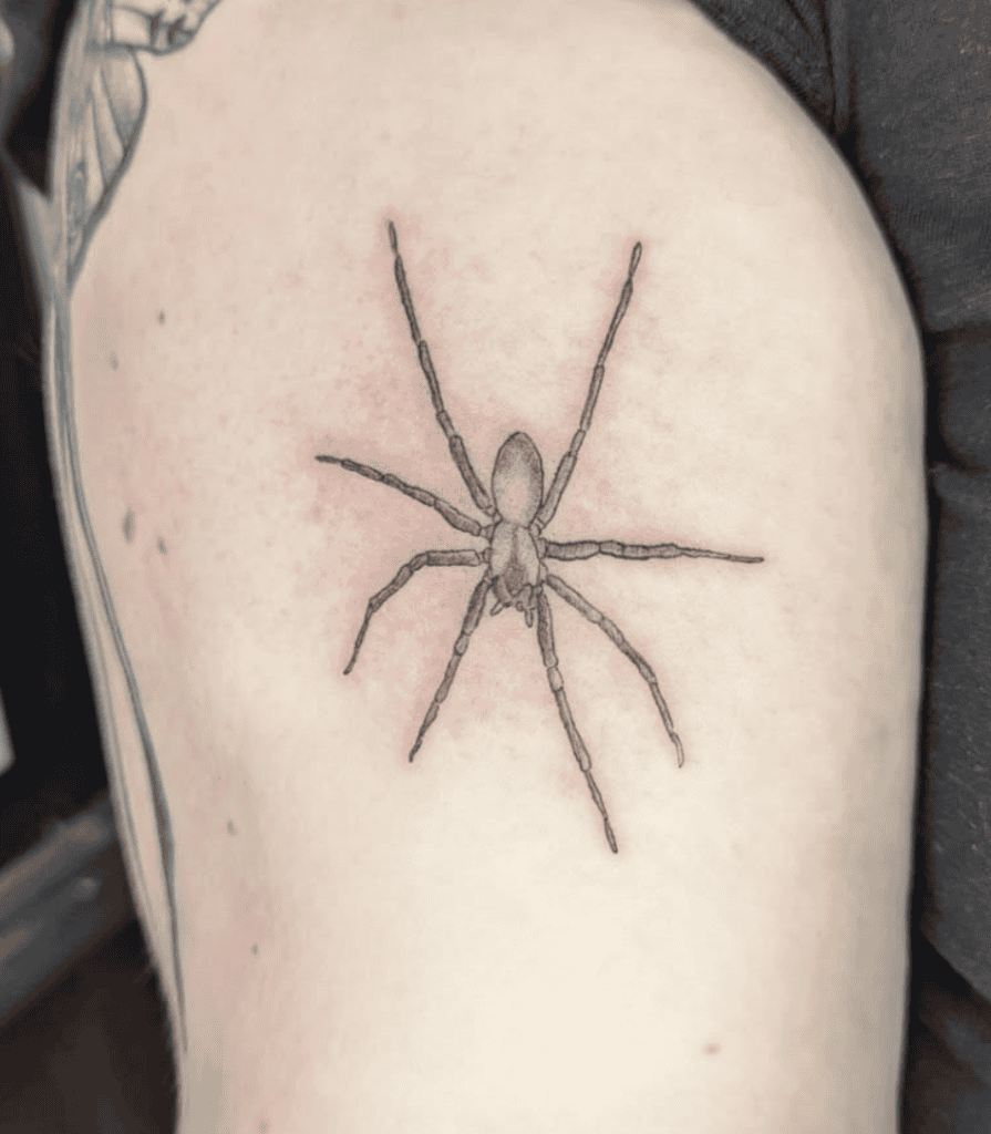 Recluse Spider Tattoo
