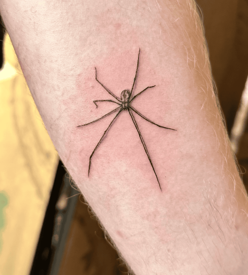 Cellar Spider Crawl Tattoo