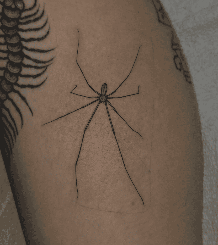 Cellar Spider Tattoo
