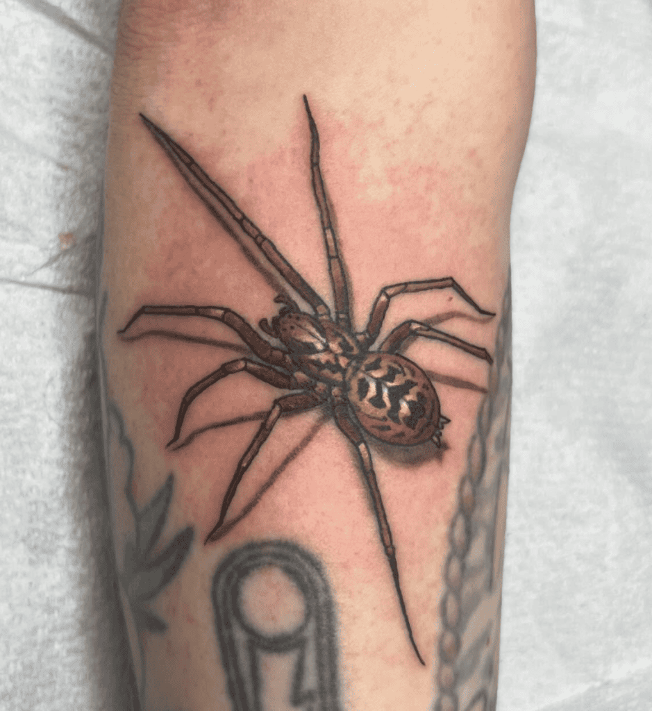 House Spider Crawl Tattoo