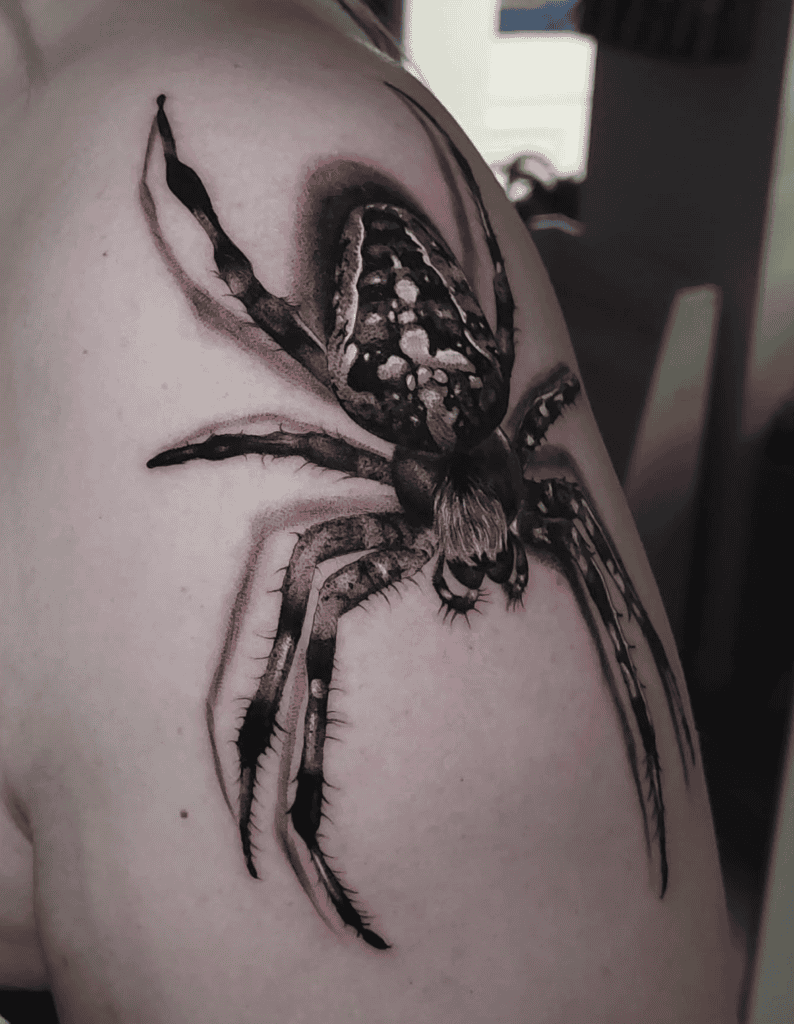 House Spider Realistic Tattoo