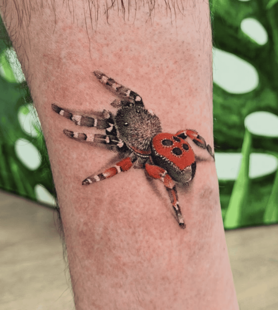 Ladybird Spider Tattoo