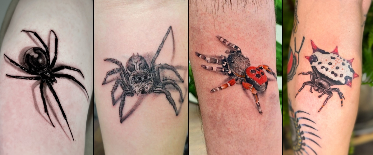 Spider Tattoo Featured Image