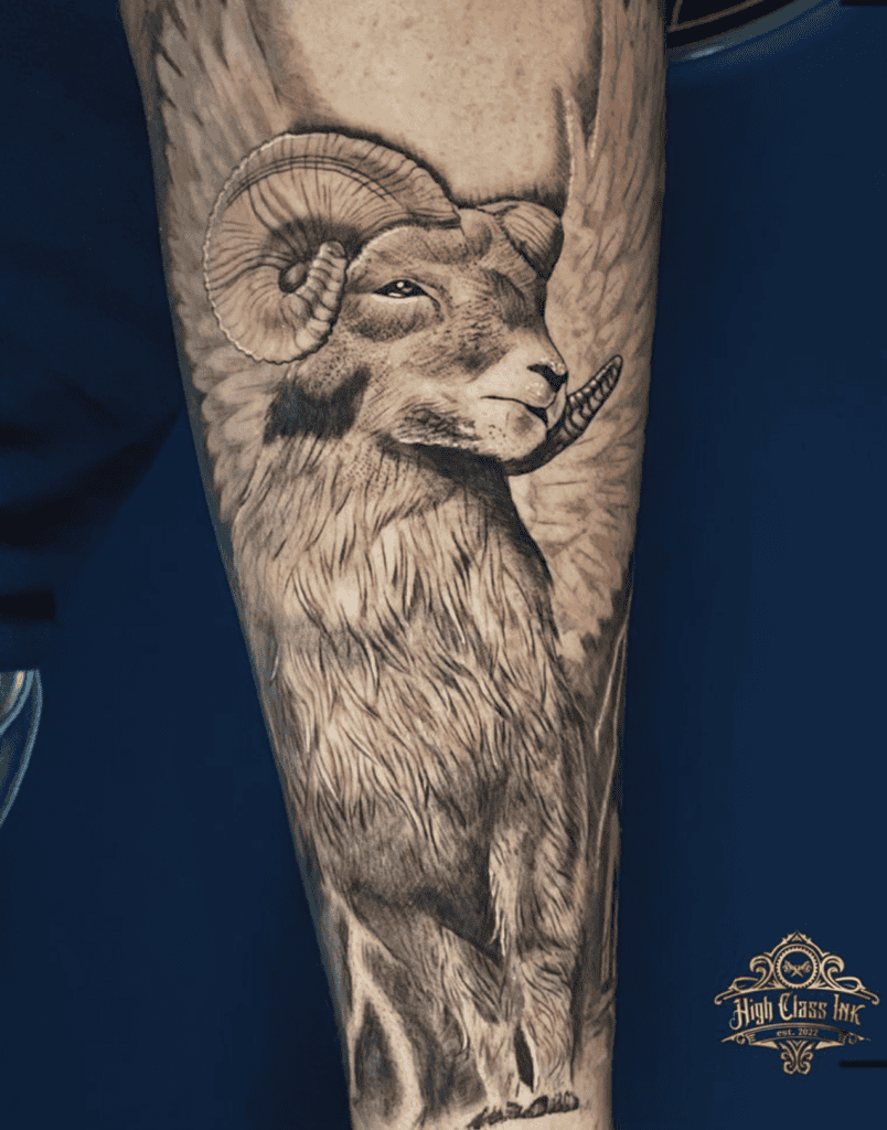 Chrysomallos Roman Mythology Tattoo