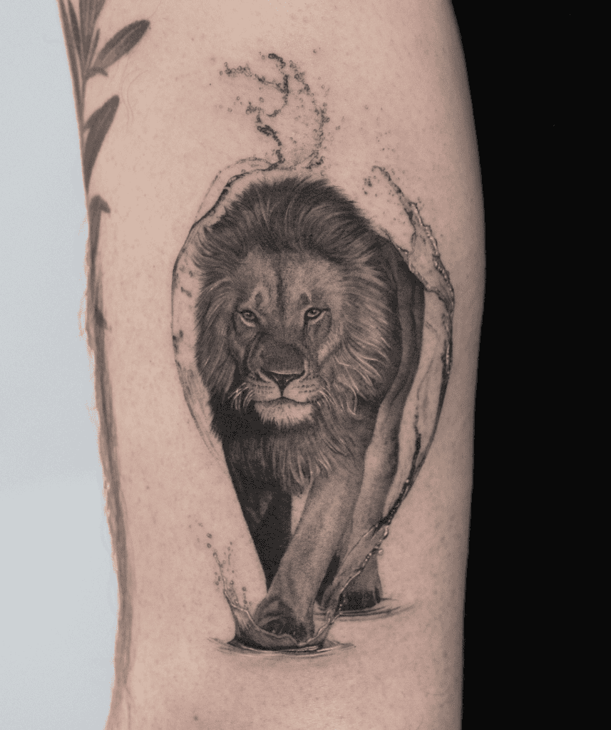 African Lion Tattoo