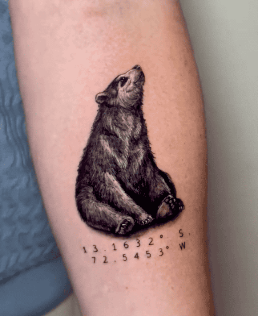 Spectacled Bear Tattoo